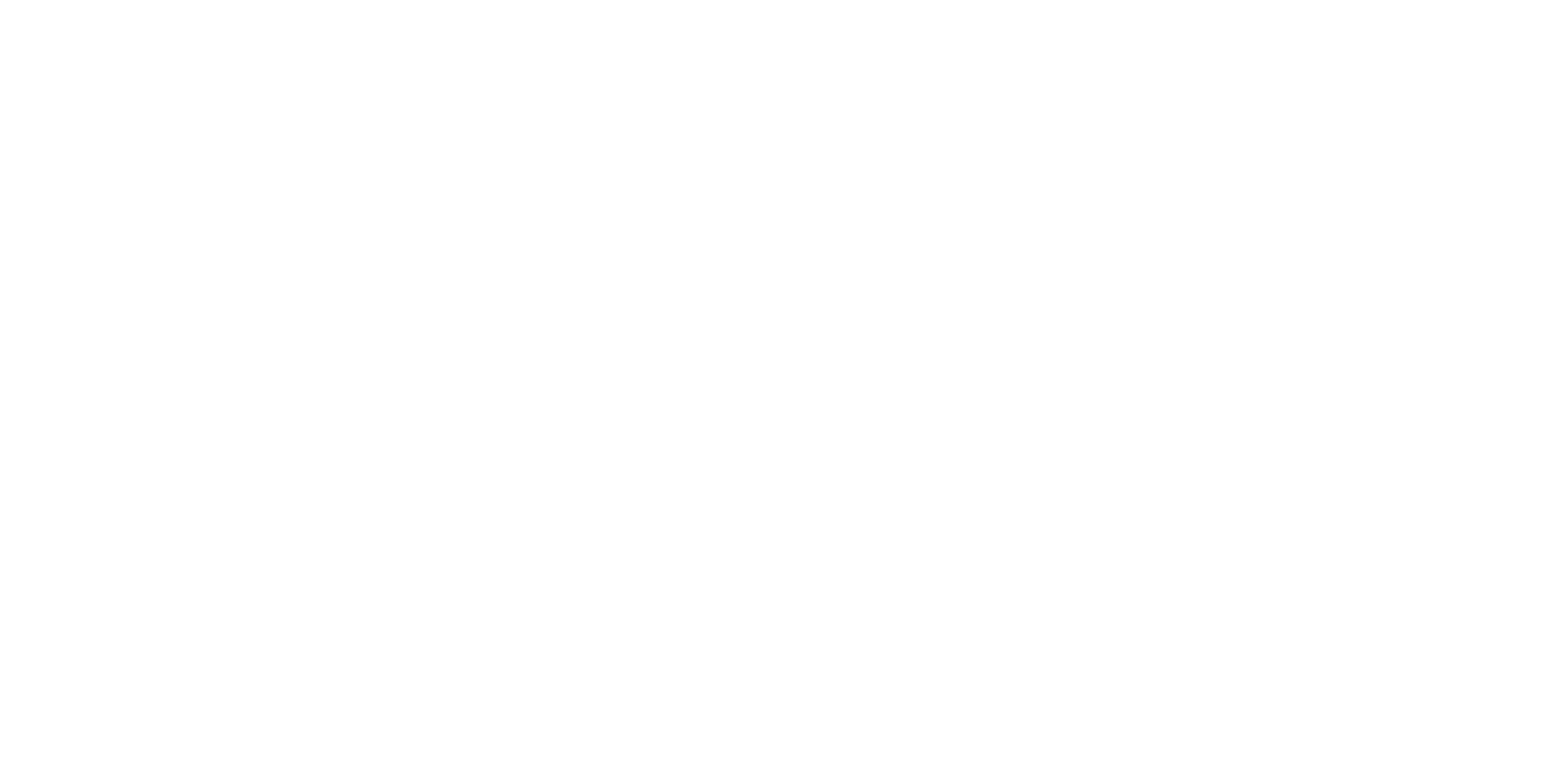 TRIBAL%20LOGO%202024%20copia